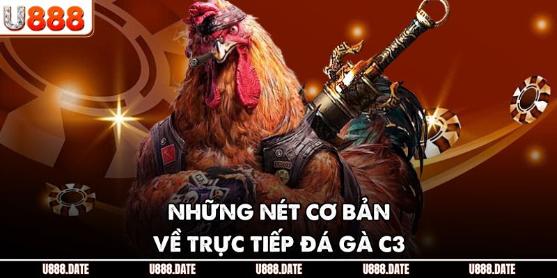 Trực Tiếp Đá Gà C3 | Trải Nghiệm Kịch Tính Và Lưu Ý Cần Biết 2 Những nét cơ bản về trực tiếp đá gà C3